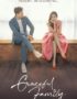 Nonton Drama Korea Graceful Family Subtitle Indonesia