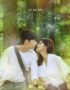 Nonton Drama Korea Forest Subtitle Indonesia