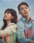 Nonton Drama Korea Start-Up Subtitle Indonesia