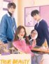Nonton Drama Korea True Beauty Subtitle Indonesia