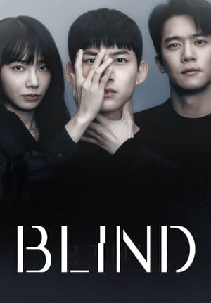 Nonton Drama Korea Blind Subtitle Indonesia