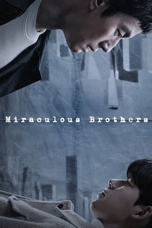 Nonton Miraculous Brothers Subtitle Indonesia
