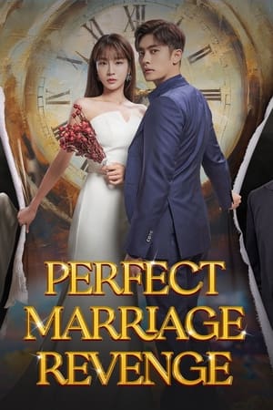 Nonton Perfect Marriage Revenge Subtitle Indonesia