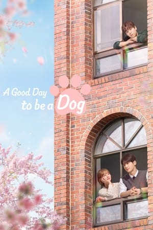 A Good Day To Be A Dog Episode 4 Subtitle Indonesia